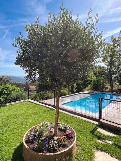 Casa Estrela Villa Alvaiázere Buitenkant foto